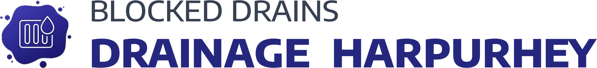 website logo